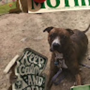 Meet your Posher, Joanna